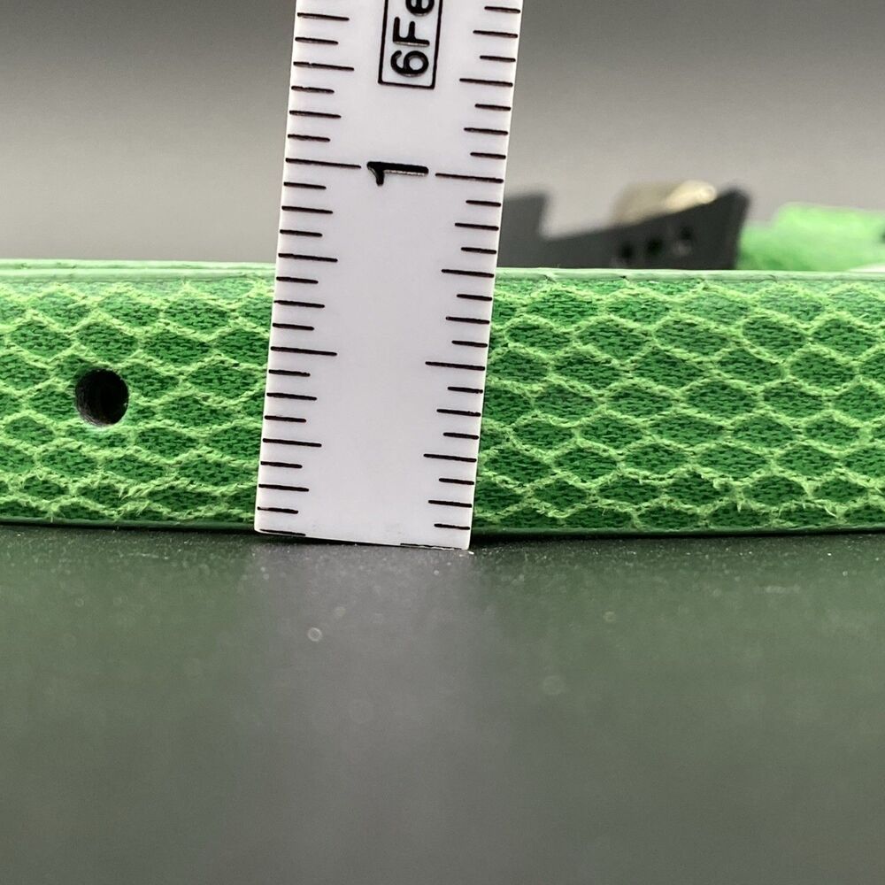 Banana Republic Green Snakeskin Embossed Belt Medium 3/4" Synthetic Leather NWT - Picture 8 of 8